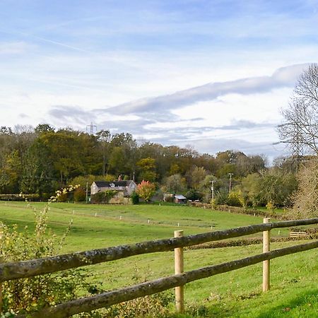Marshalls Farm Aston Ingham Exterior photo